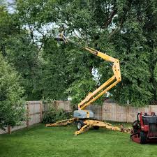 Best Hazardous Tree Removal  in Sonora, TX